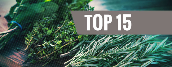 Najlepsze legalne zioła do waporyzacji