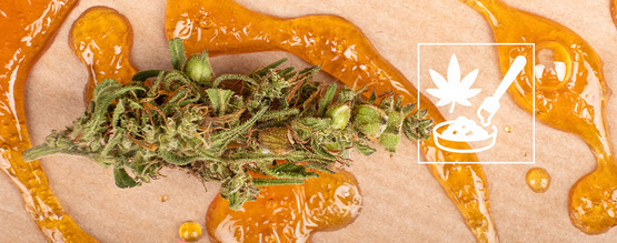 Kompletny przewodnik po koncentratach z konopi