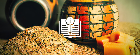 Yerba maté: starożytny napar pełen cennych składników odżywczych