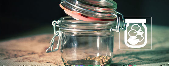 Jaki jest najlepszy sposób przechowywania nasion marihuany?