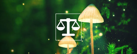 Jak bezpiecznie odmierzać i dawkować psychodeliki