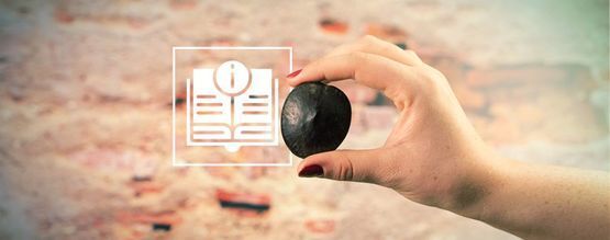 African Dream Seeds: wszystko, co musisz wiedzieć