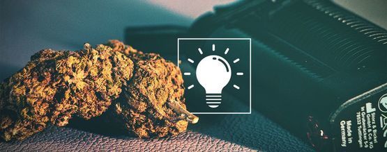 Poradnik dla początkujących: waporyzatory do suszu – budowa i sposób użycia