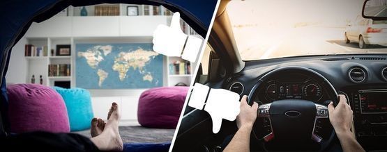 Salvia divinorum: co robić, a czego unikać