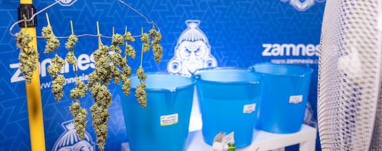 Mycie topów: co to jest i dlaczego warto je stosować?