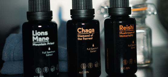 Informacje o nalewkach z grzybów