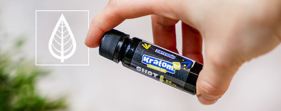 Różne rodzaje produktów z kratomem – omówienie