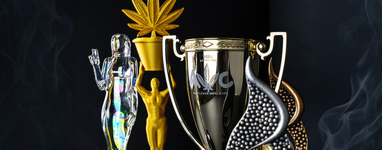 Świętując doskonałość: nasza nagradzana droga do sukcesu