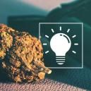 Poradnik dla początkujących: waporyzatory do suszu &ndash; budowa i spos&oacute;b użycia