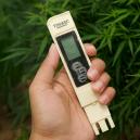 Najlepsze EC dla konopi