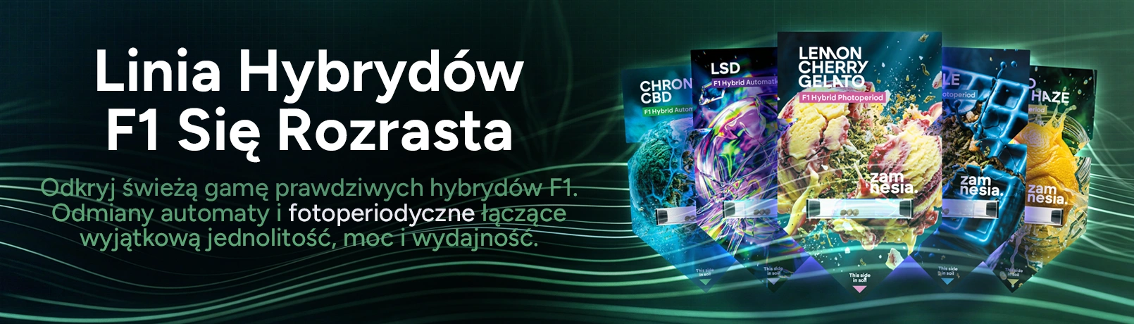 F1 Offerpage Banner PL_offer