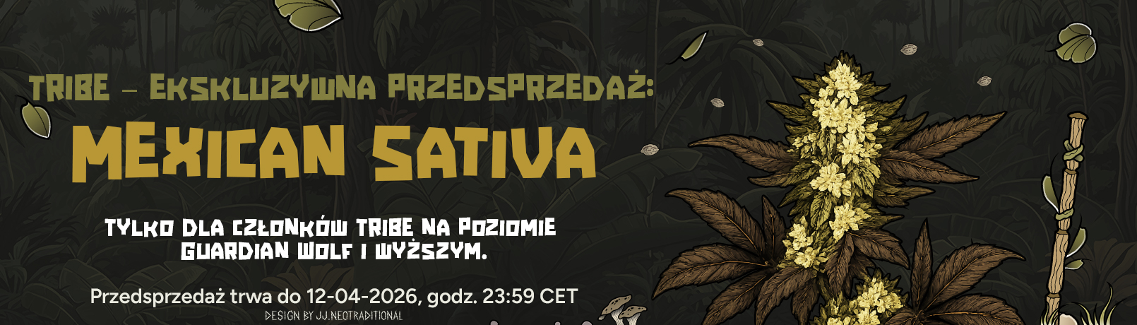 Sativa Mexicana Offerpage PL_offer