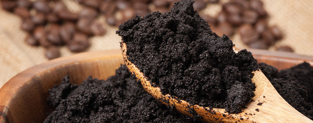 Using Coffee Grounds As Cannabis Fertiliser