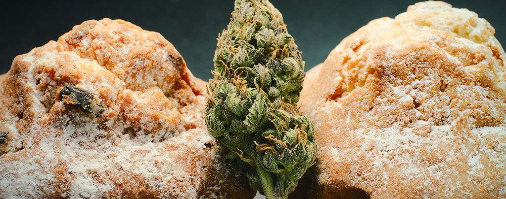 Holenderski renesans jadalnych produktów z konopi