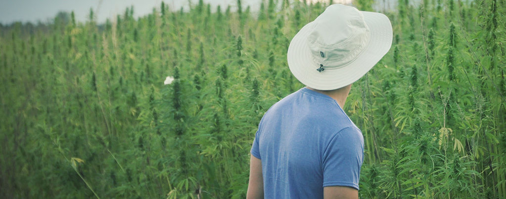 Słynny pionier konopi Franco Loja zmarł w wieku 42 lat