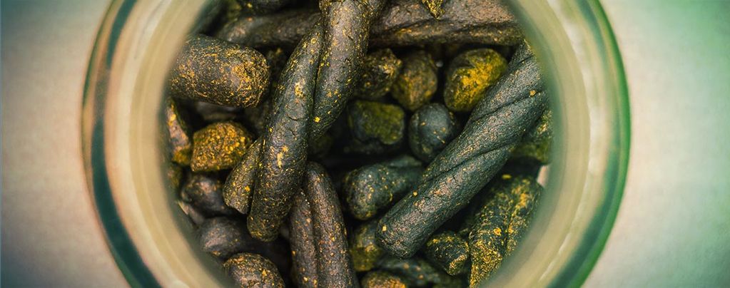 What Is Charas And How To Make It