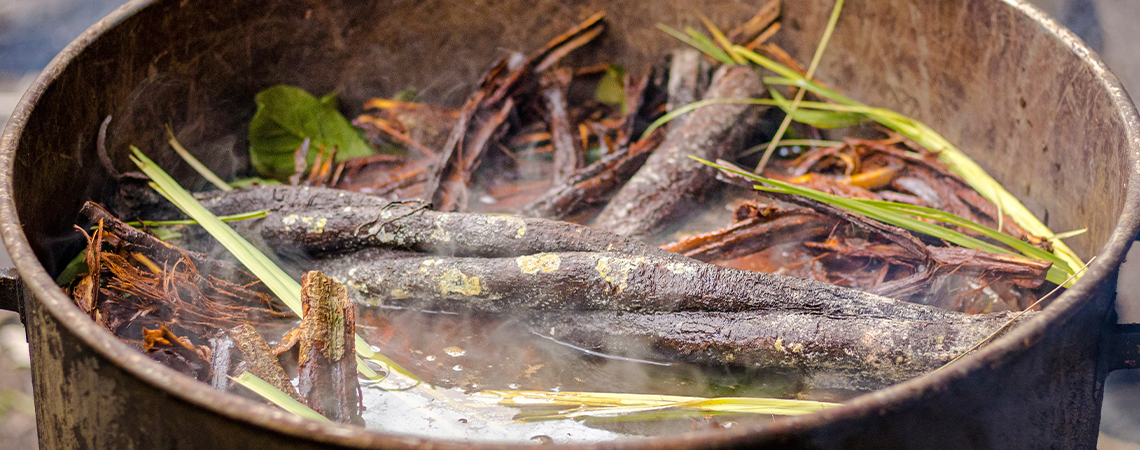 Ayahuasca myths and facts: Separating truth from fiction