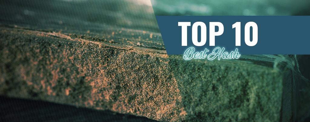 Top 10 Best Hash In Amsterdam