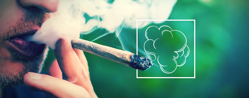 Cloud Production And Cannabis