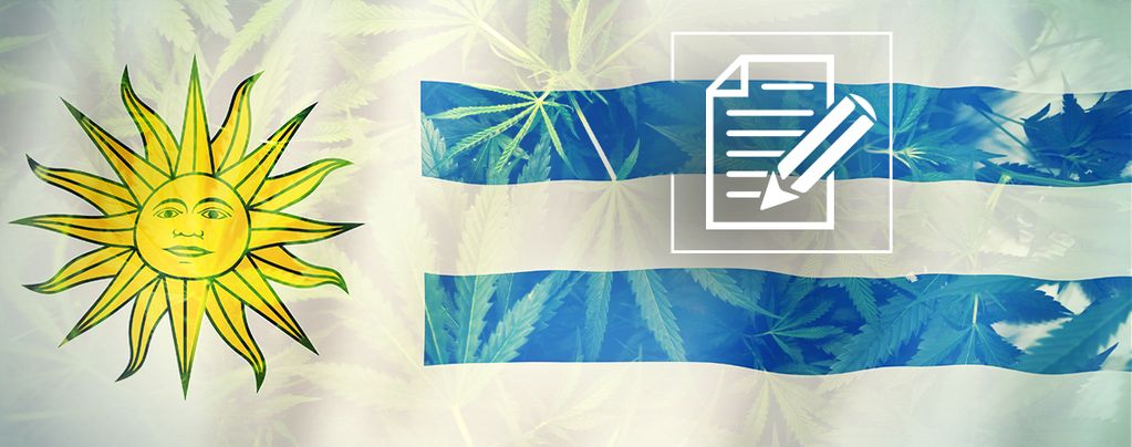 Uruguay: Cannabis Paradise Turned Chaos