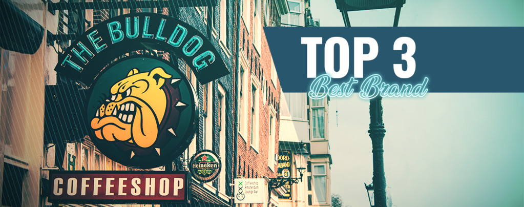 Top 3 Best Branded Coffeeshops In Amsterdam