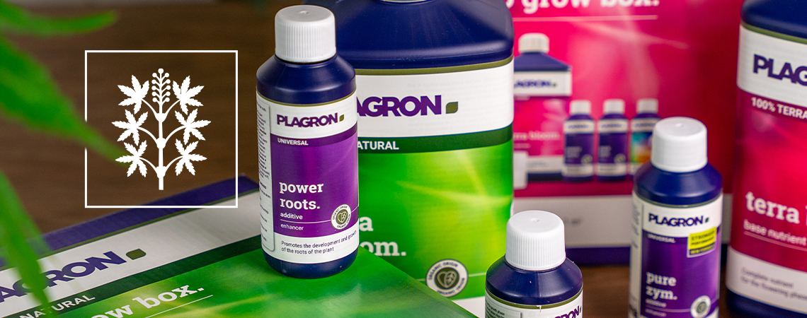 Wydobądź z roślin maksimum dzięki Plagron