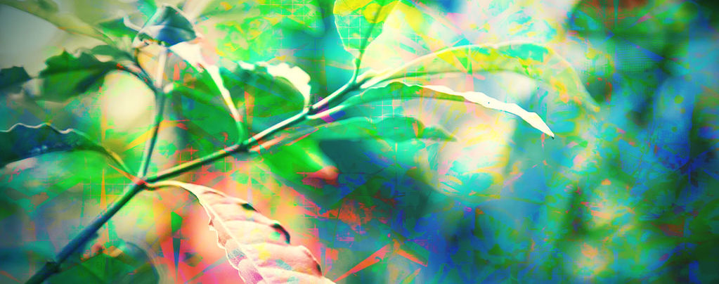 What Is Tripping On DMT Really Like?