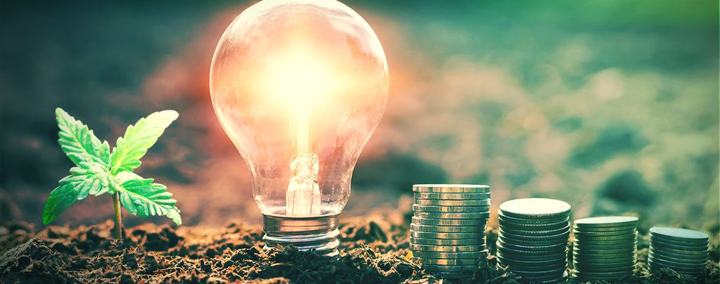 How to Save on Energy Costs When Growing Cannabis Indoors
