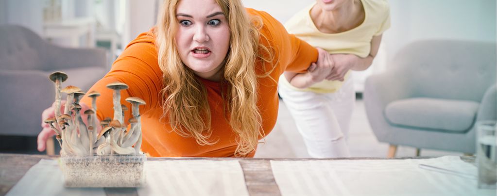 Are Magic Mushrooms Addictive?