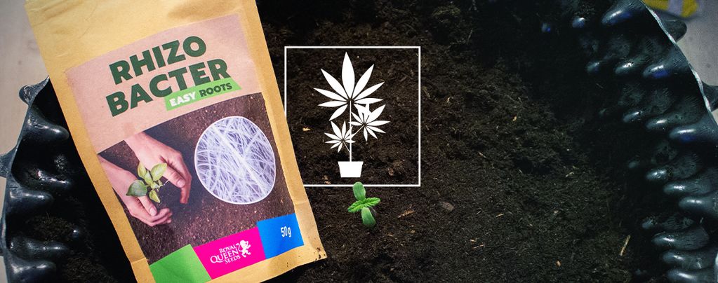 Easy Roots Rhizobacter