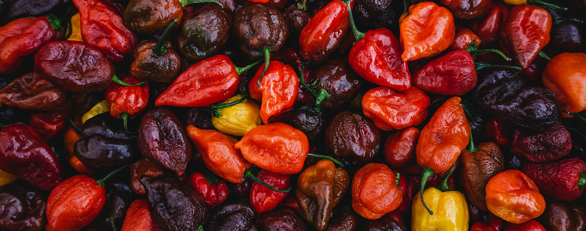 Top 20 najostrzejszych papryczek na świecie (edycja 2025)