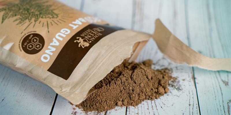 When And How To Use Bat Guano For Weed