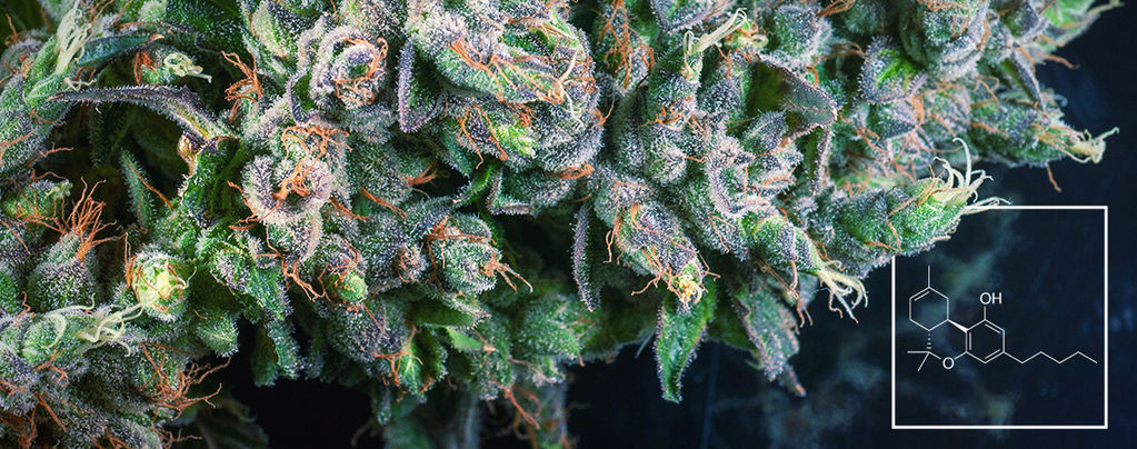 What Is Delta-8 THC (∆⁸-THC)?