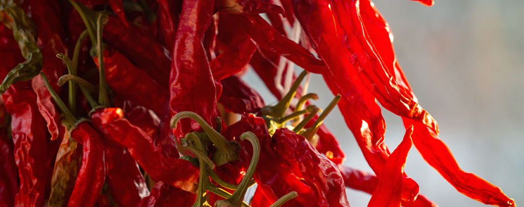 How To Grow Cayenne Long Slim Peppers