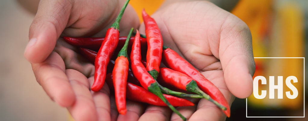 How Capsaicin Could Soothe Cannabinoid Hyperemesis Syndrome