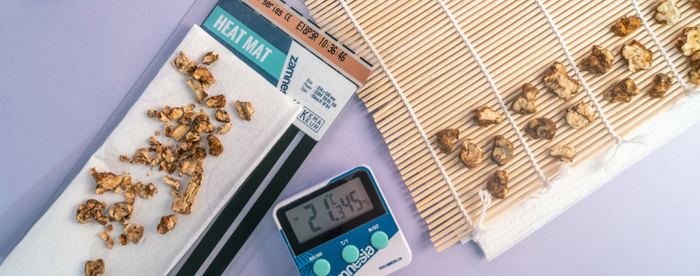 How To Dry Magic Truffles