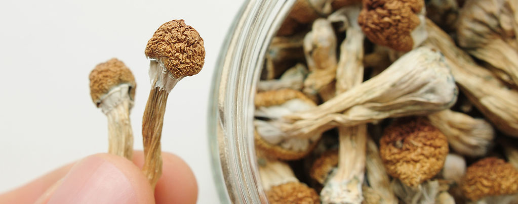 How Often Should You Microdose?