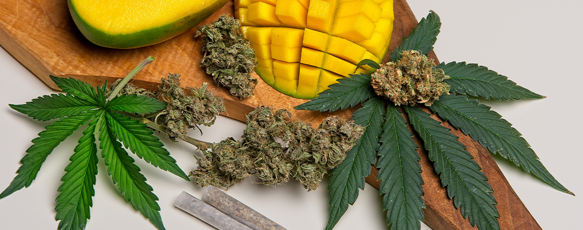 What Is Myrcene In Cannabis?