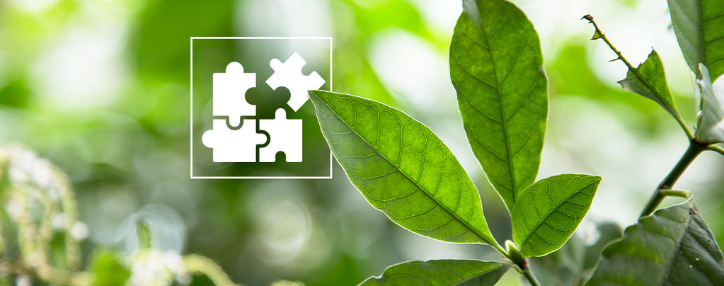 Microdosing DMT: An Overview