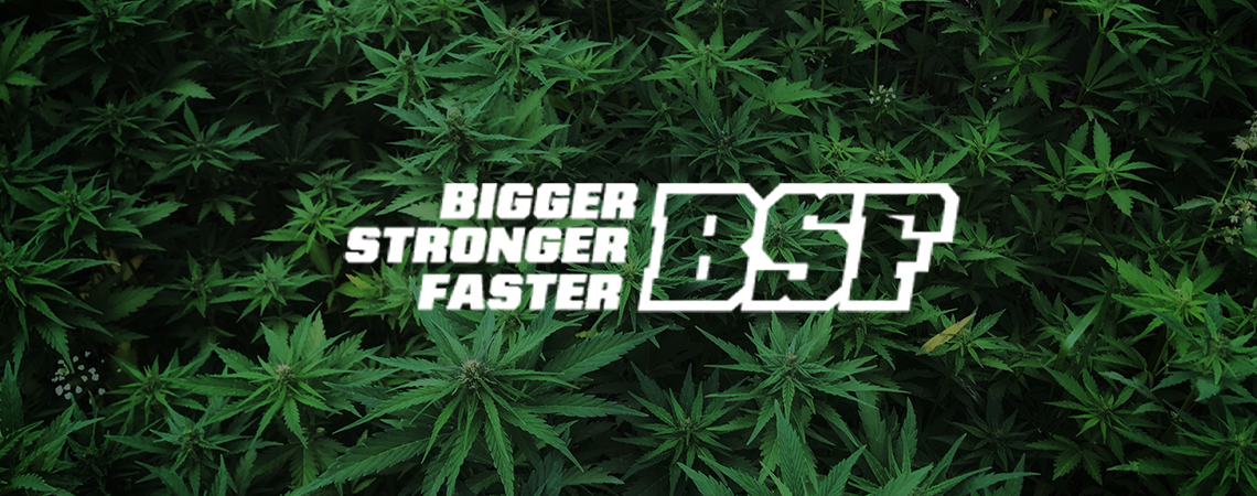 Save The Gorillas With BSF Seeds