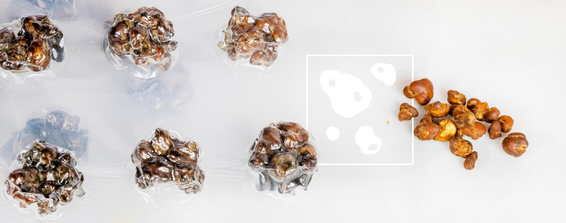 Microdosing Methods For Magic Truffles