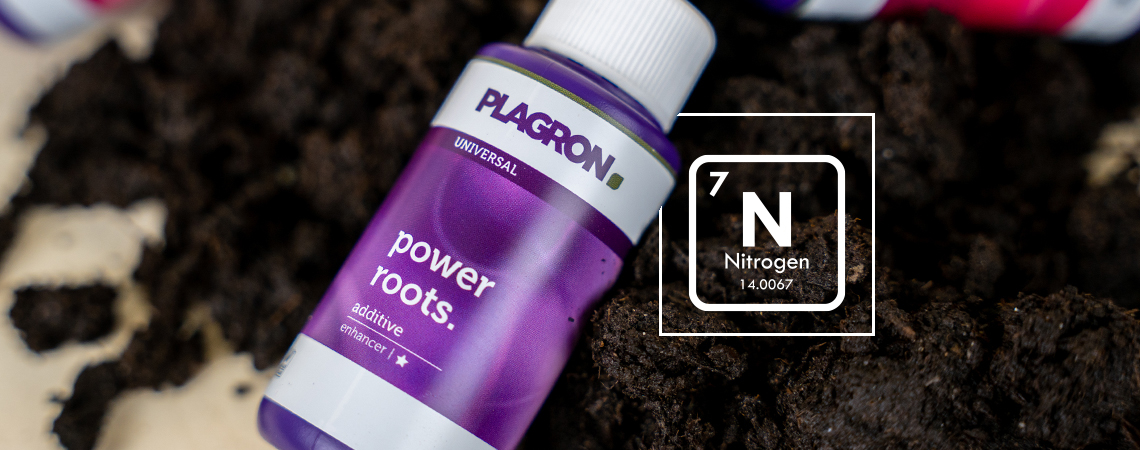 Nitrogen Deficiency: How To Recognise And Prevent It