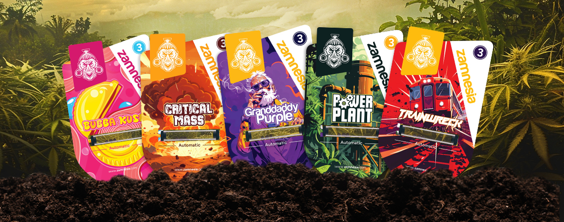 Zamnesia Seeds Show Episode 4: Classic Legends