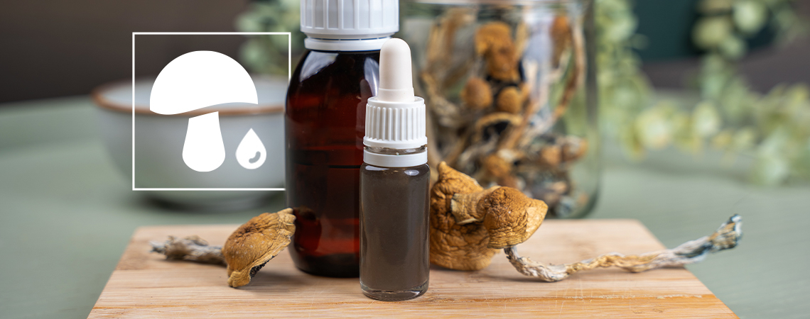 Krople z grzybów: wyczerpujący przewodnik