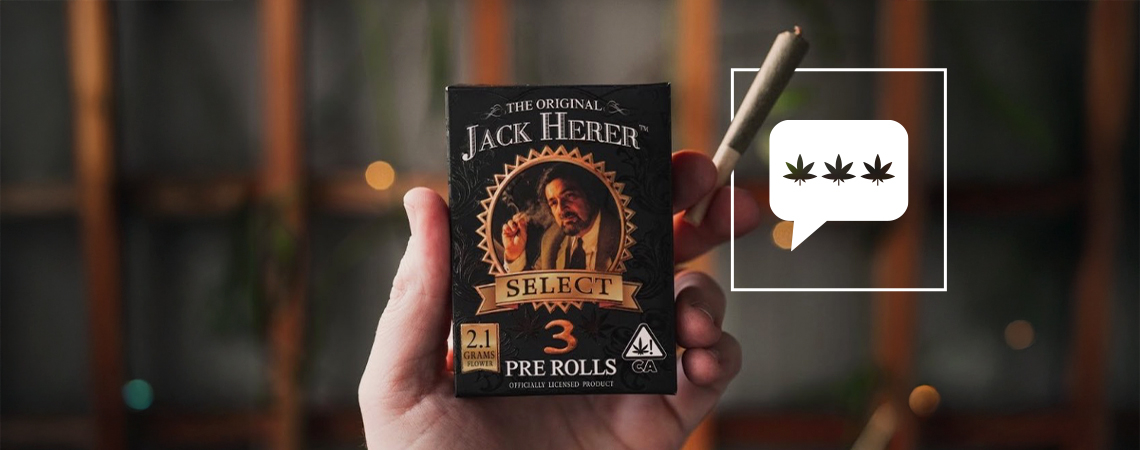 Rozmowa z Danem Hererem