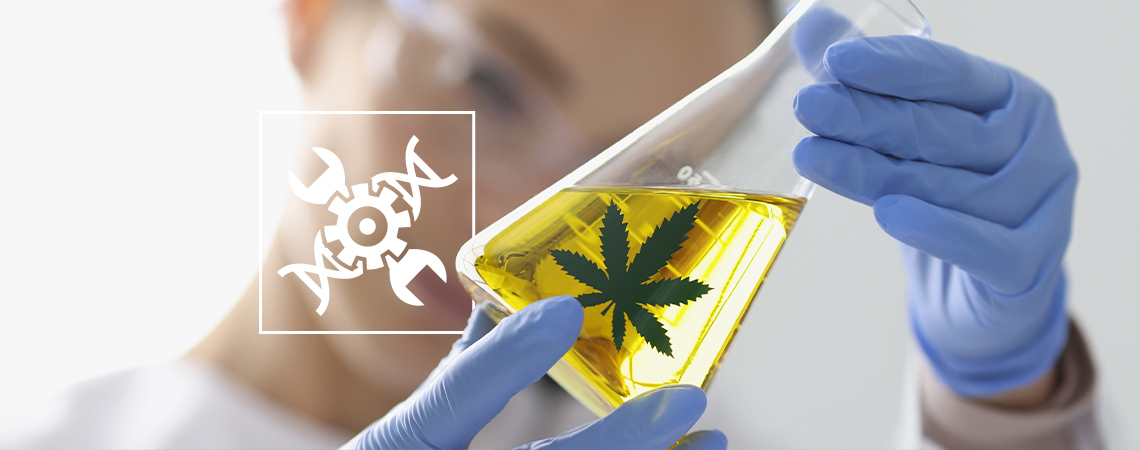 Cannabis in biohacking: A unique approach to modern wellness