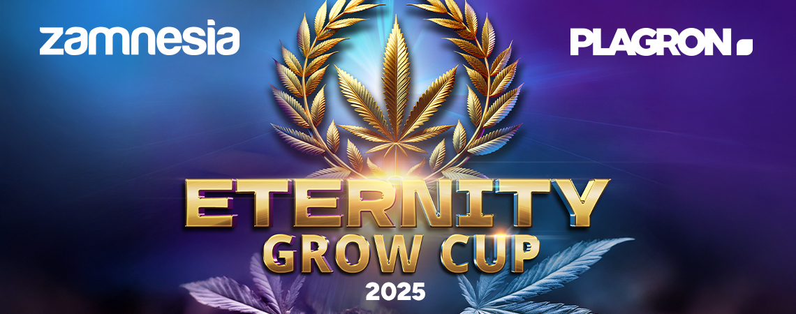 Eternity Grow Cup 2025: A celebration of this year’s finest grows