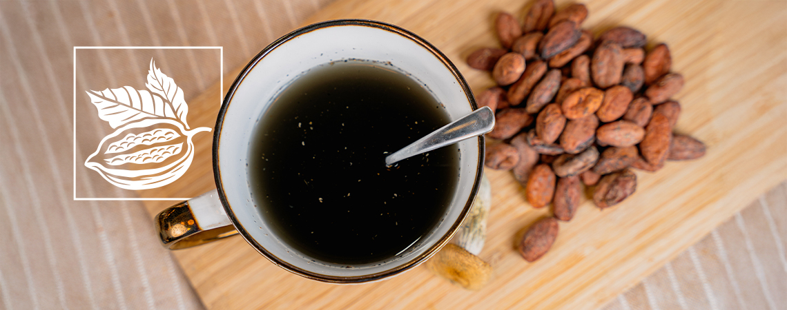 The Aztec Combo: Mixing Psilocybin With Cacao