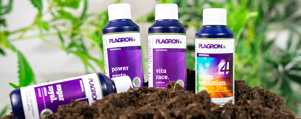 Best organic fertilisers for cannabis cultivation