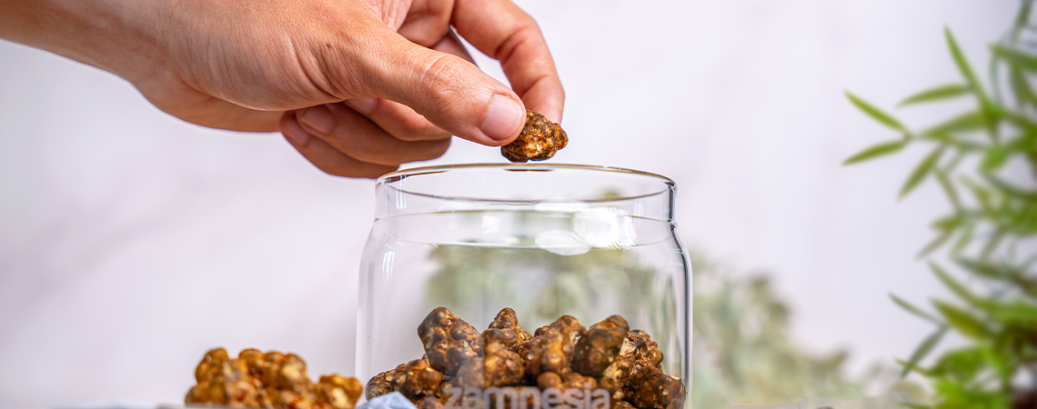 Jak przechowywać magiczne trufle?